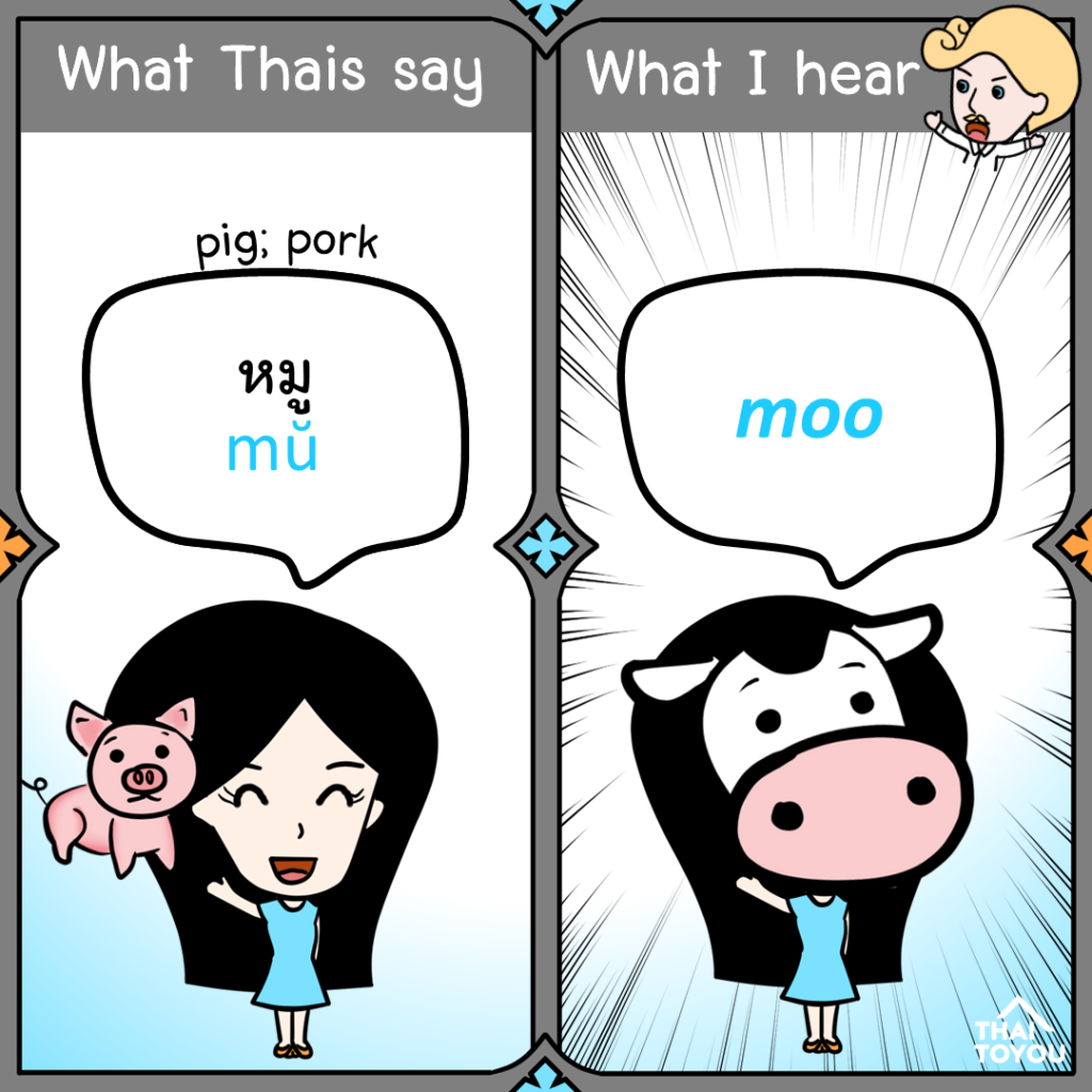 Thai memes: What Thais say: หมู What I hear: moo