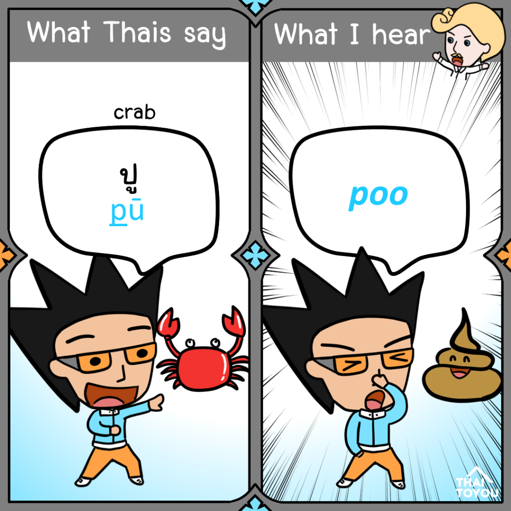 Thai memes: What Thais say: ปู What I hear: poo